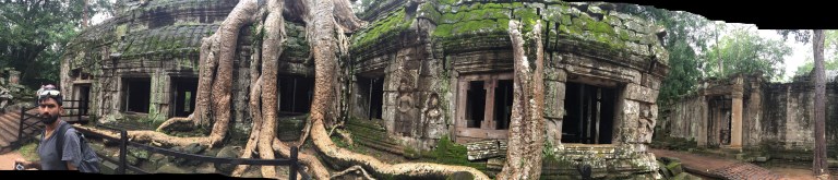 Nature claiming back